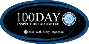 100Day_Decal